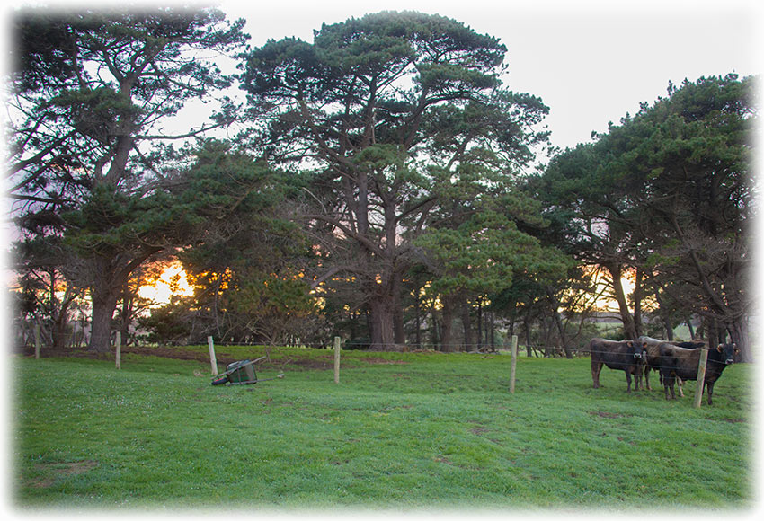 Great Ocean Road - Loch Ard Bed & Breakfast