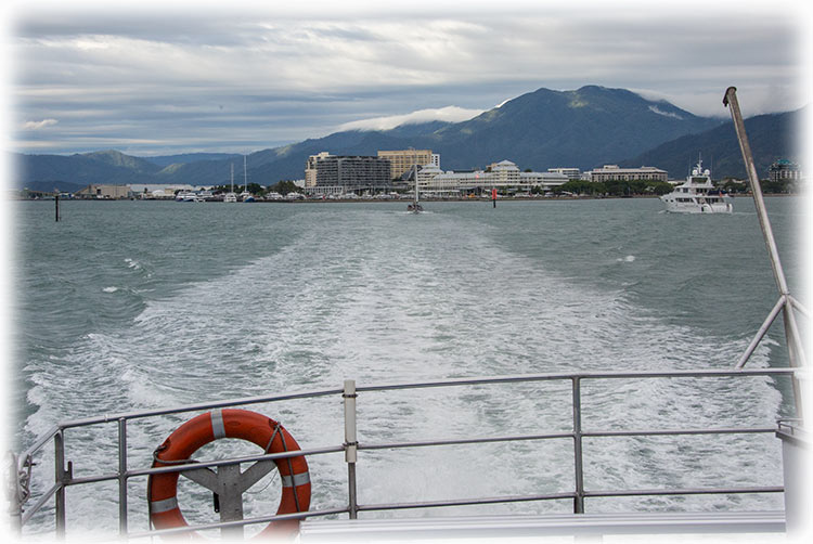 Top Deck Club Snorkel with Reef Encounter