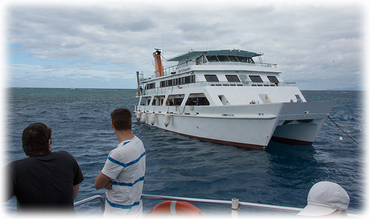 Top Deck Club Snorkel with Reef Encounter