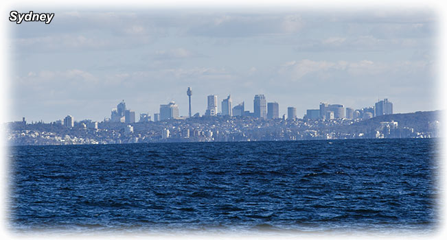 Whale Watching Sydney