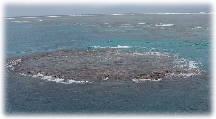 Top Deck Club Snorkel with Reef Encounter