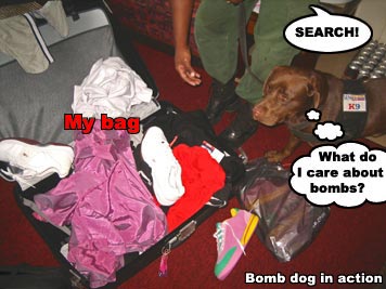 Bomb search