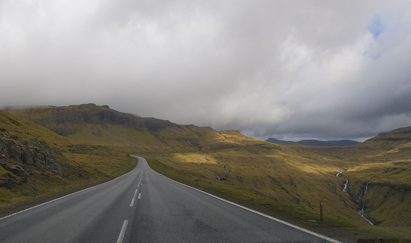 Bird watching on Faroe Islands