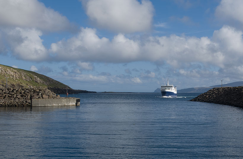 Bird watching on Faroe Islands