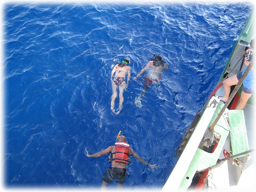 Greenpeace's Rainbow Warrior in the Red Sea