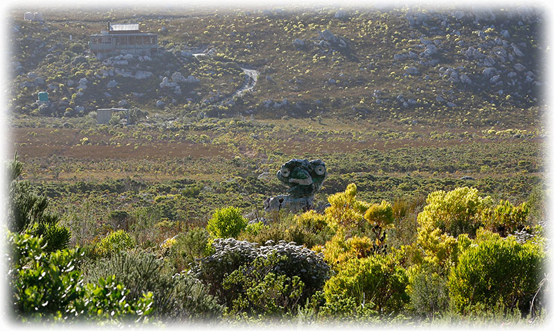 Driving along the scenic ocean drive Route 44 in South Africa