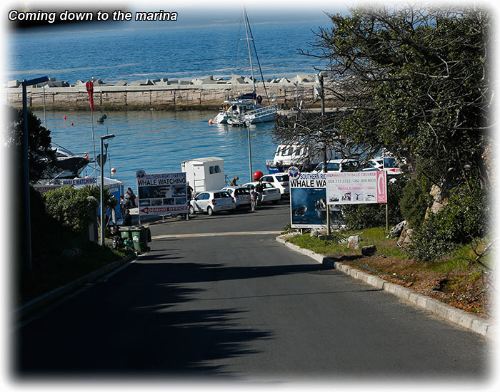 Hermanus, South Africa