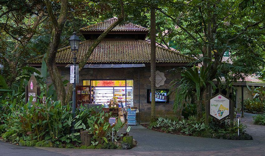 Birding/ Bird watching in Singapore