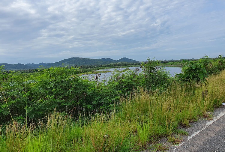 Birding/ Bird watching at Huai Khun Chit Reservoir, Chonburi, Thailand