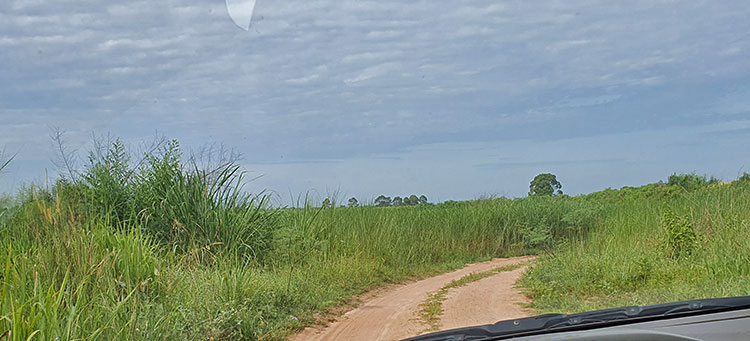 Birding/ Bird watching at Huai Khun Chit Reservoir, Chonburi, Thailand