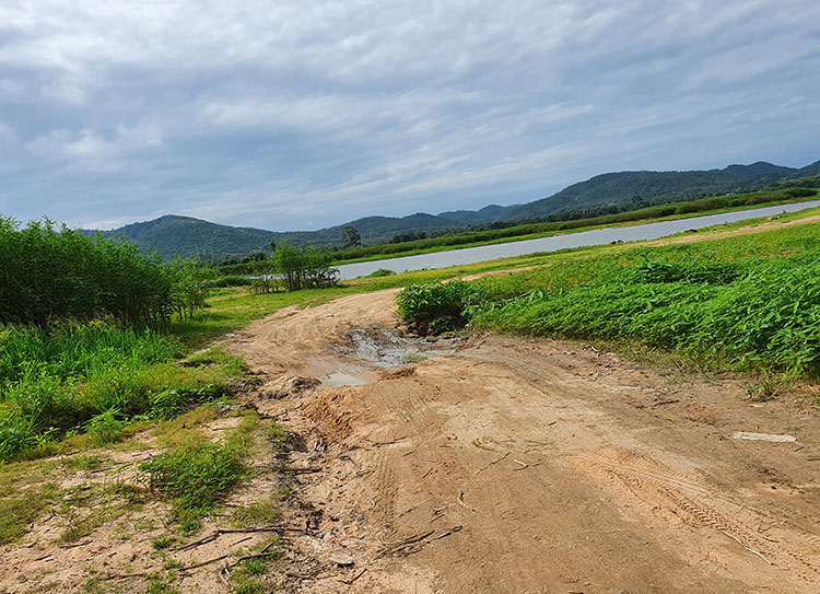 Birding/ Bird watching at Huai Khun Chit Reservoir, Chonburi, Thailand