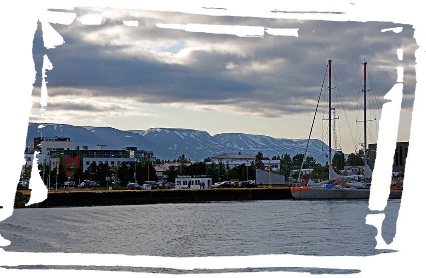 Ambassador Whale Watching in Akureyri