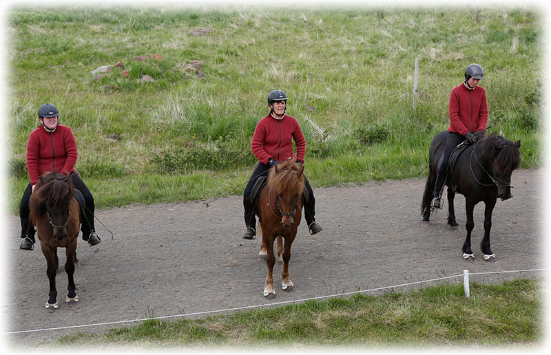 Gauksmyri - Icelandic horse show