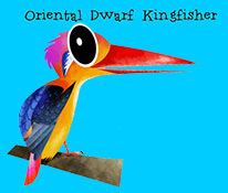 Oriental Dwarf Kingfisher - Green humour