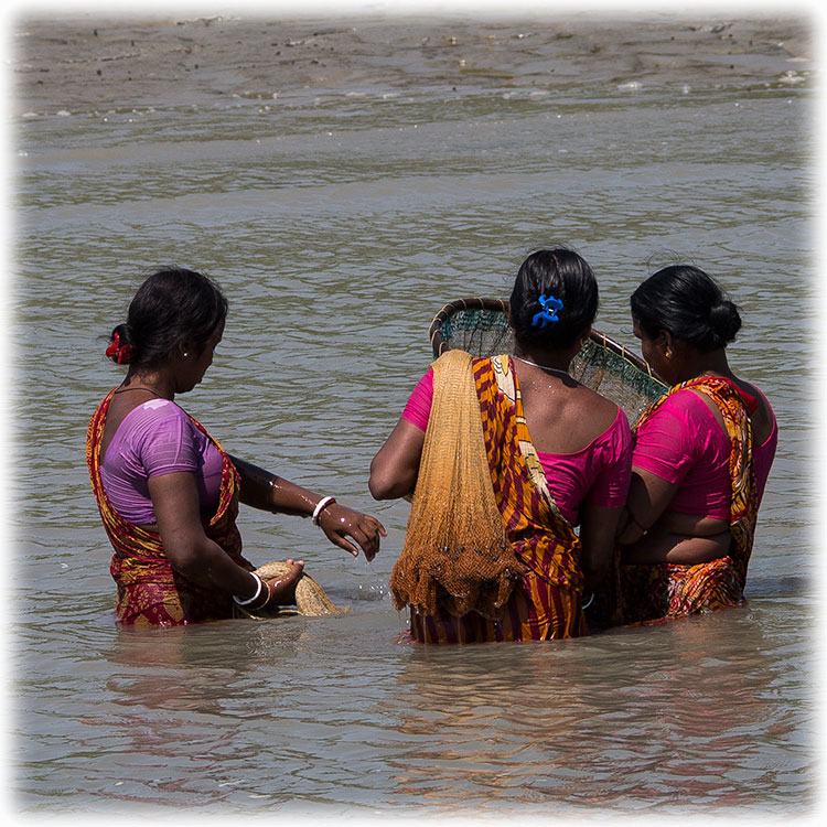 Fishing in River Bidya