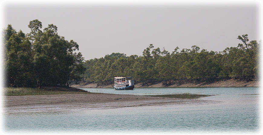 Tiger safari and bird watching in Sundarbans - Lesser Adjutant Stork