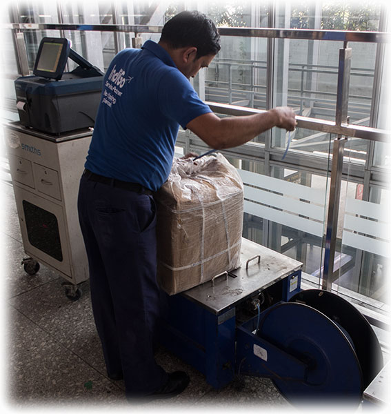 Subhas Chandra Bose International Airport, Domestic Terminal