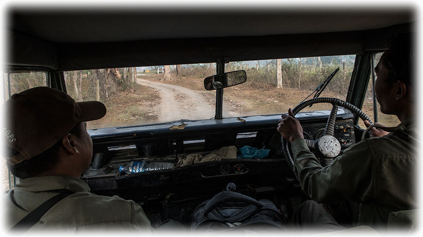 Tiger Safari and bird watching in Chitwan National Park