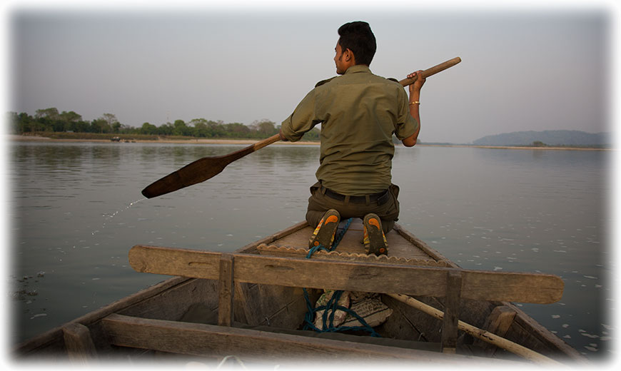 Tiger Safari and bird watching in Chitwan National Park