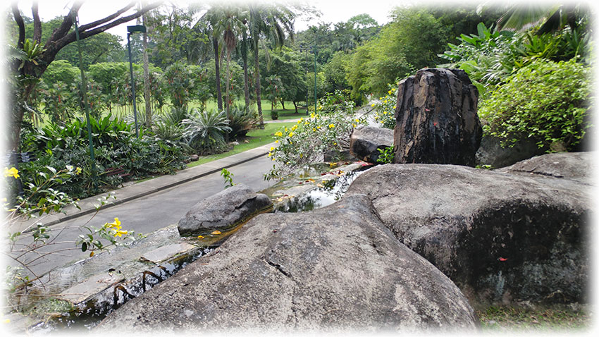 Birding/ Bird watching in Perdana Botanical Garden, Kuala Lumpur