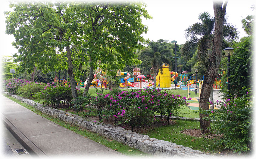 Birding/ Bird watching in Perdana Botanical Garden, Kuala Lumpur