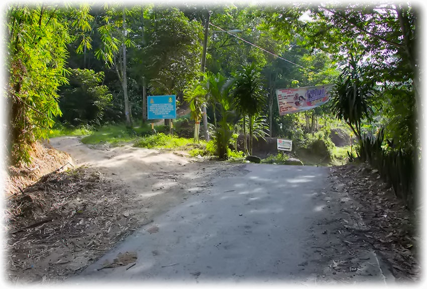 Birding/ Bird watching at IsiRimba/ Kemensah Valley, Kuala Lumpur, Malaysia