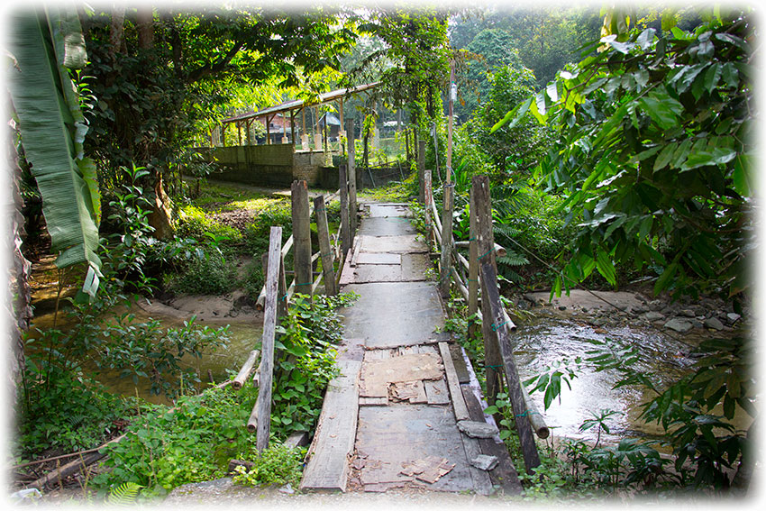 Birding/ Bird watching at IsiRimba/ Kemensah Valley, Kuala Lumpur, Malaysia