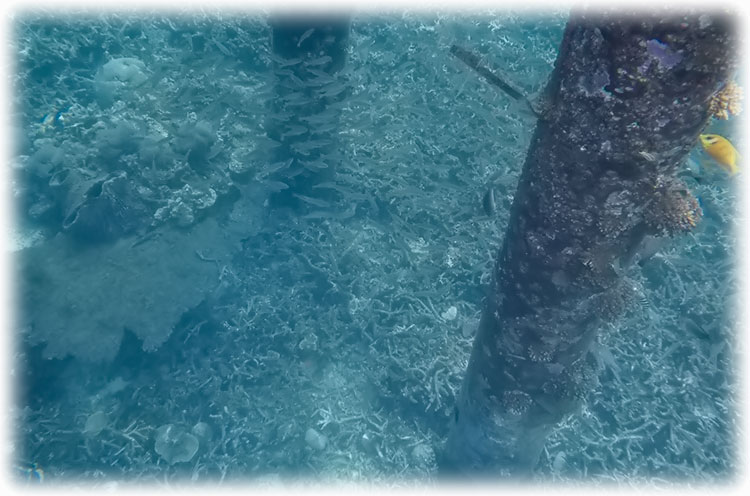 Coral Bay lighthouse at Perhentian Island