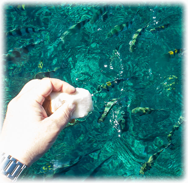 Snorkelling, Perhentian Island