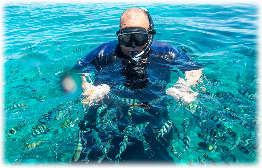 Snorkelling, Perhentian Island