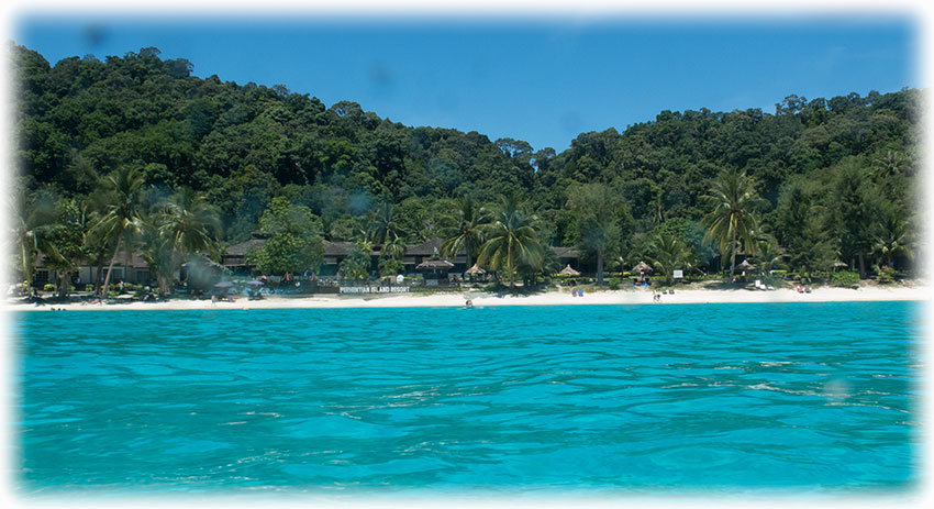 Snorkelling at Turtle Point, Perhentian Island