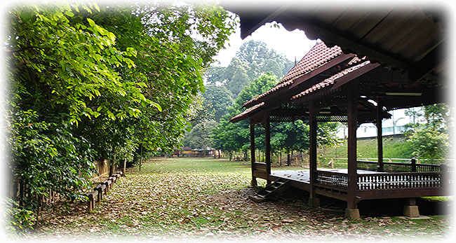 Birding/ Bird watching in KL Forest ECO Park, Kuala Lumpur