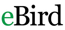 eBird