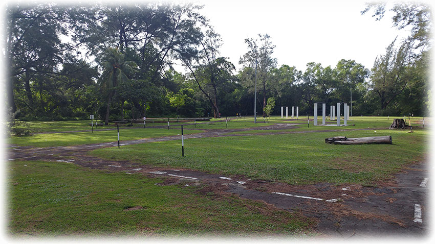 Birding/ Bird watching in Tanjung Aru Beach/ Prince Philip Park in Kota Kinabalu, Borneo