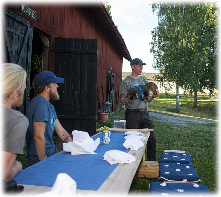 Wild Sweden beaver safari