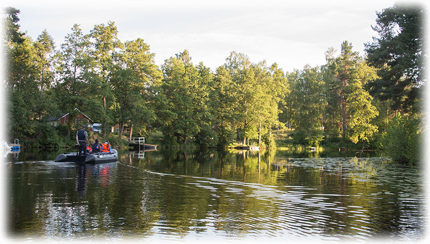 Wild Sweden beaver safari