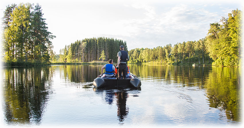 Wild Sweden beaver safari