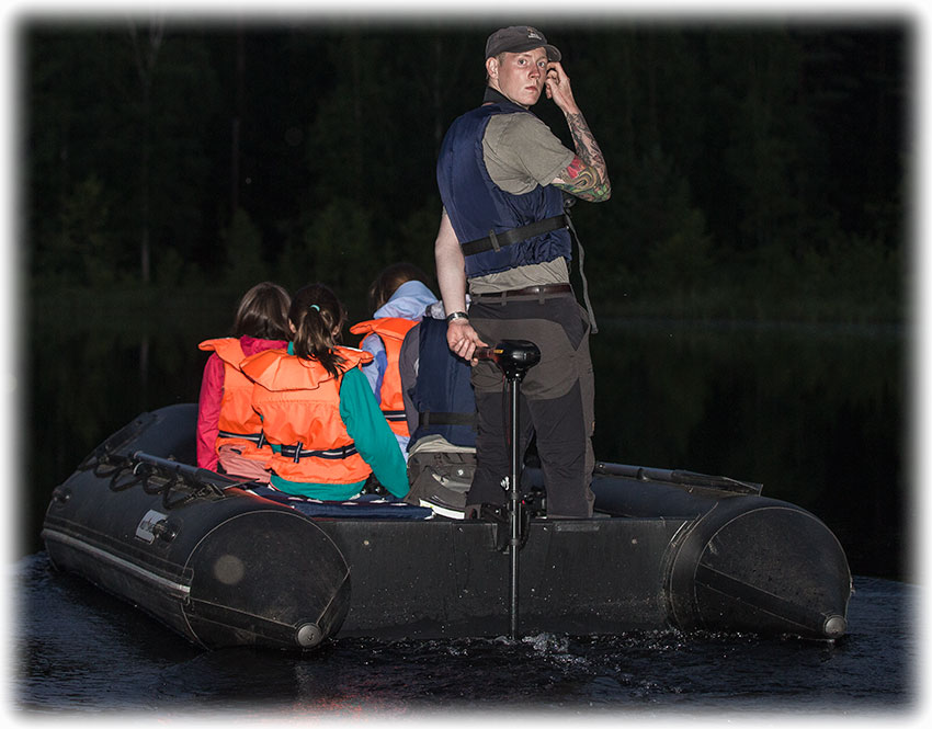 Wild Sweden beaver safari