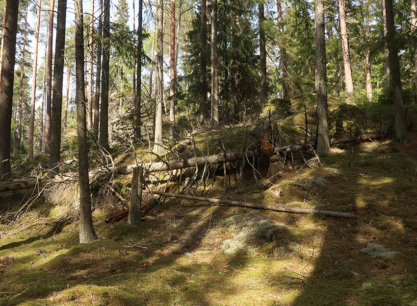 Tiveden National park