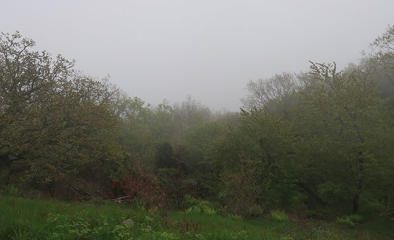 Bird watching in Stenshuvud National Park in Skåne, Sweden