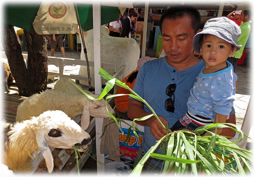 Ayutthaya floating market