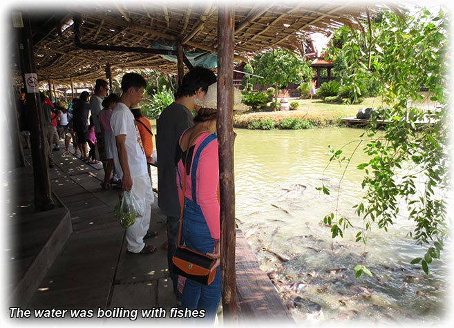 Ayutthaya floating market