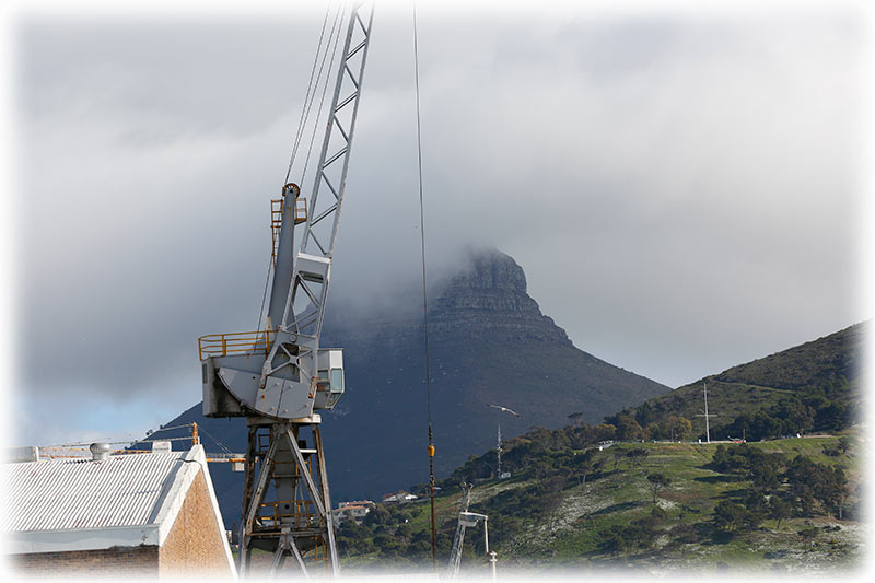 Afternoon cruise in Cape Town