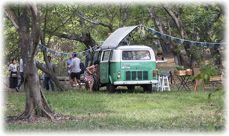 Birding/ Bird watching in Suan Phutthamonthon (Phutthamonthon Park) - Bangkok, Thailand