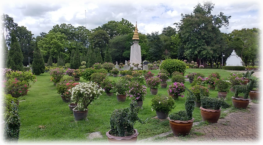 Birding/ Bird watching in Lanna Rama 9 Park, Chiang Mai