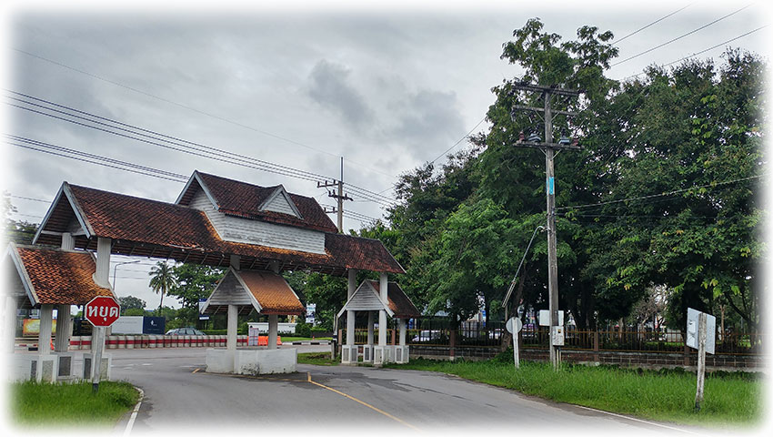 Birding/ Bird watching in Lanna Rama 9 Park, Chiang Mai