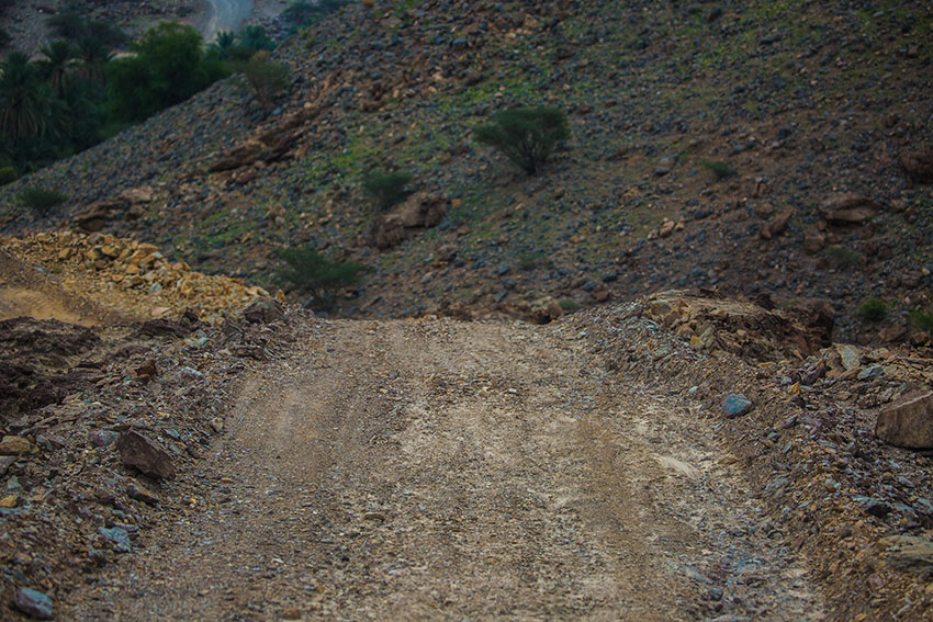 Birding/ Bird watching in Wadi Sireen in the Al Hajar Mountains, Oman