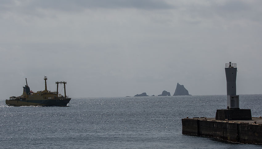 Birding/ Bird watching on Miyakejima, Japan