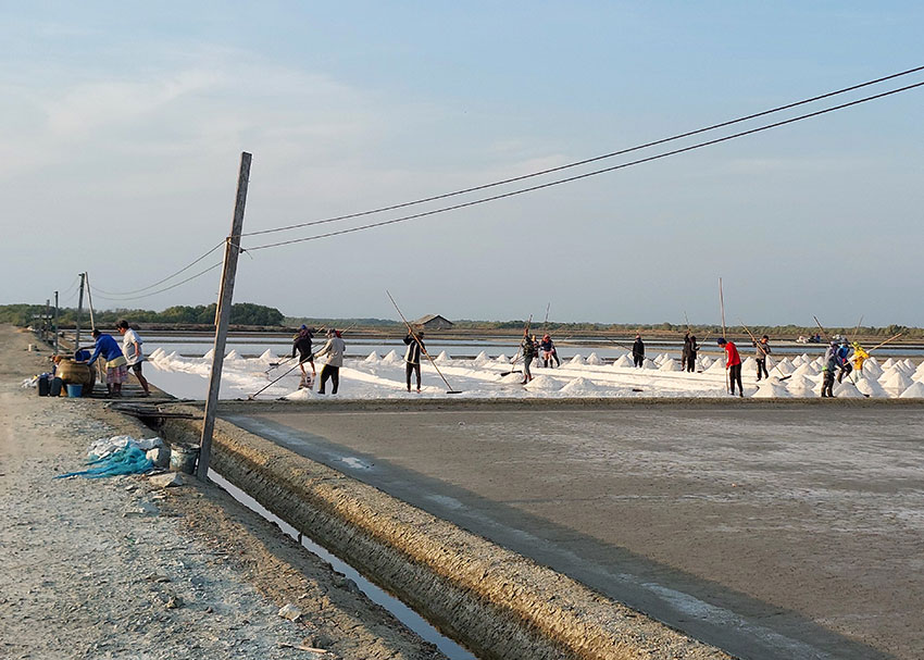 Bird watching at eBird hotspot: Bang Pakong--The Gleua Café salt pans
