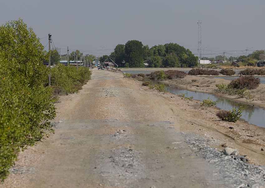 Bird watching at eBird hotspot: Bang Pakong--The Gleua Café salt pans